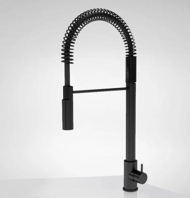 Waterevolution Flow полупрофесионален кухненски смесител, матово черно, с колона и пружина T157PR