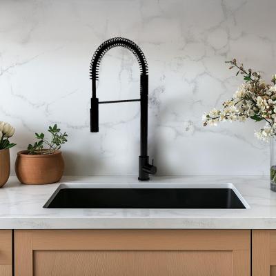 Waterevolution Flow полупрофесионален кухненски смесител, матово черно, с колона и пружина T157PR
