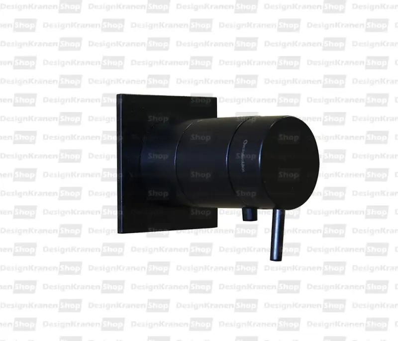 Вграден душ термостат Waterevolution Flow с четириъгълна розетка в матово черно T142TBPR