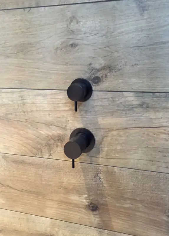 Waterevolution Flow вграден душ термостат с 2 изхода, матово черно с кръгла розетка 1208778072