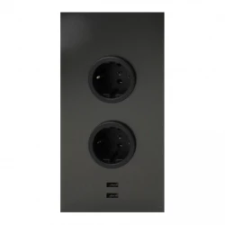 Indux 2ST22  Енергийна колона с 2 контакта и 2 USB връзки, Gun Metal