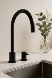 Waterevolution Flow Смесител за кухня с 2 отвора, матирано черно T151PR
