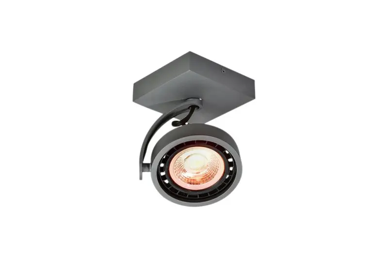 Декоративна таванна или стенна лампа Wally в антрацит с движеща се глава, 1 светлинен източник 4281