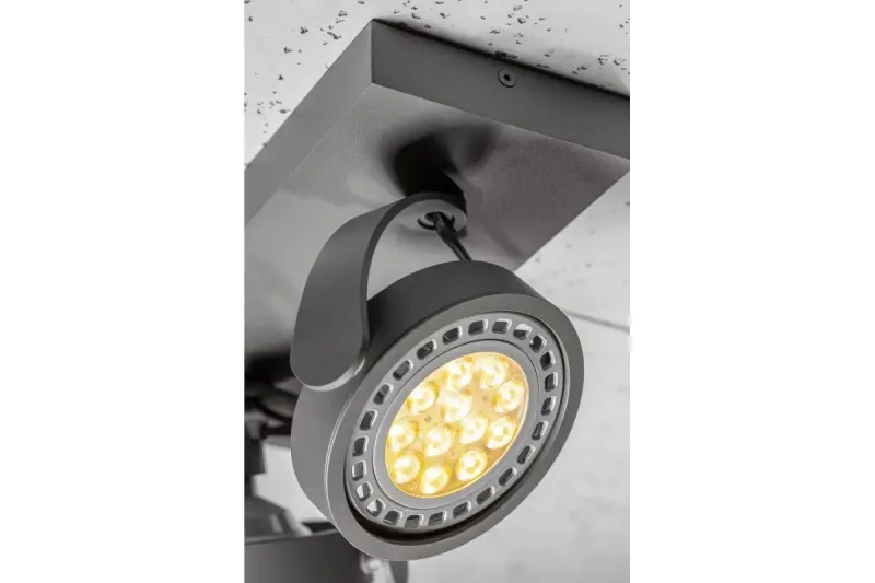 Декоративна таванна или стенна лампа Wally в антрацит с движеща се глава и 2 източника на светлина 4304