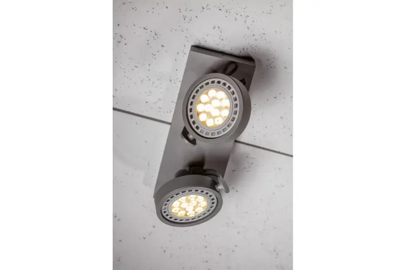 Декоративна таванна или стенна лампа Wally в антрацит с движеща се глава и 2 източника на светлина 4304