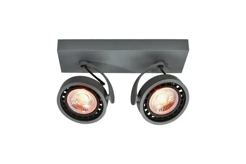 Декоративна таванна или стенна лампа Wally в антрацит с движеща се глава и 2 източника на светлина 4304