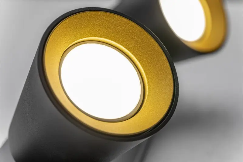 Декор Elli модерен черен таванен аплик с 2 светлинни източника 4557