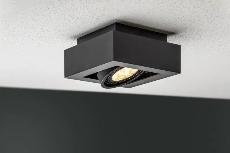 Декоративна функционална черна таванна лампа с 1 точка на Loid с 1 светлинен източник 4687