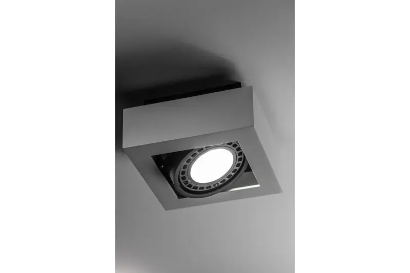 Декоративна функционална бяла 1-точкова таванна лампа Loid с 1 светлинен източник 4632