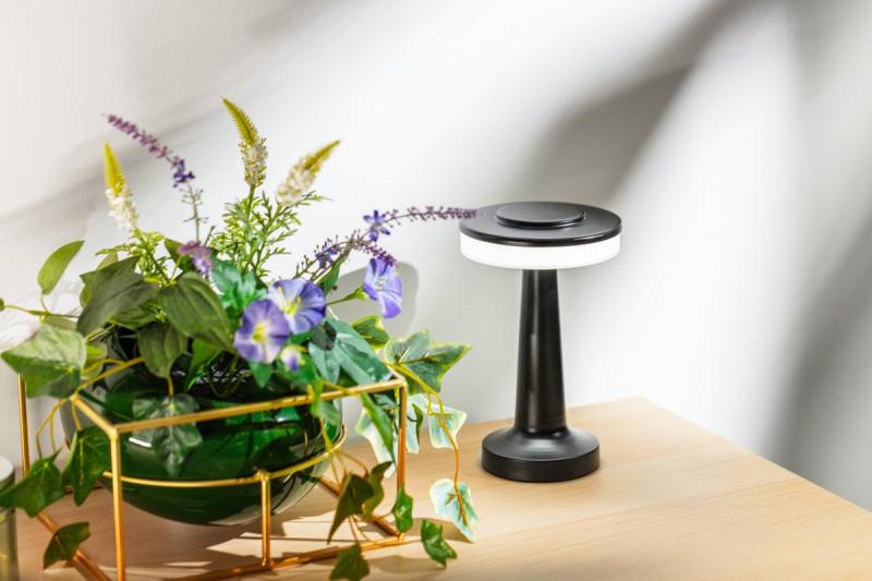 Decor Лампа за бюро Monum 3W 200lm DC 5V 1A 3000 K 3 градуса. Регулируема яркост. Батерия 1800 mAh, черна. 1208962504