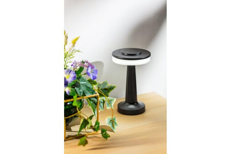 Decor Лампа за бюро Monum 3W 200lm DC 5V 1A 3000 K 3 градуса. Регулируема яркост. Батерия 1800 mAh, черна. 1208962504