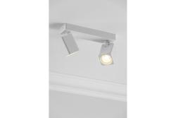 Decor Таванна осветителна апаратура RENO алуминий IP20 макс. 20W*2 двоен квадрат бял 1208963981