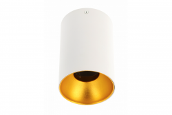 Decor Таванна осветителна апаратура TENSA алуминиева. 96x140 IP20 GU10 кръгла бяла. 1208964019