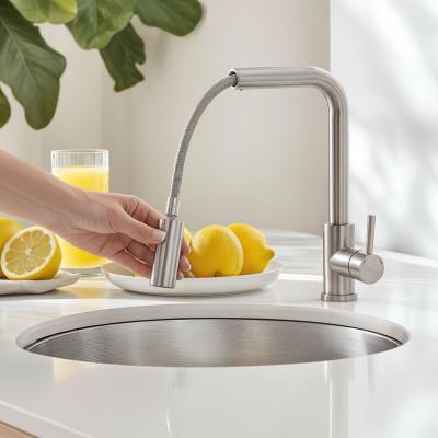 Pure.Sink Elite Steel Spark-S кухненски смесител от неръждаема стомана с изтеглящ се чучур PS8041-02
