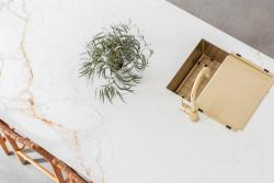 Pure.Sink Exclusivo Златна подложка за изсушаване на съдове, 440x335 мм, за мивка PEXTRAY-60